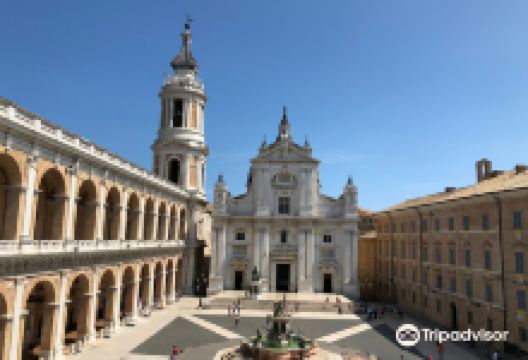 Museo Pinacoteca景点图片