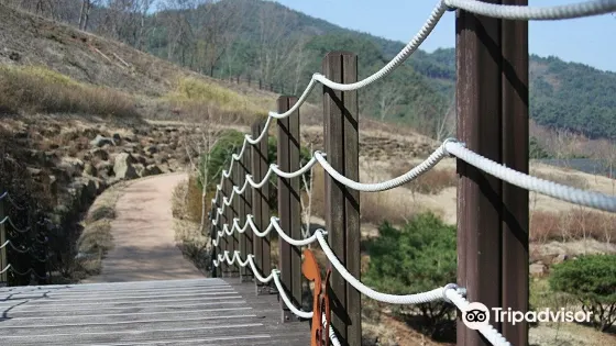 智異山庭院