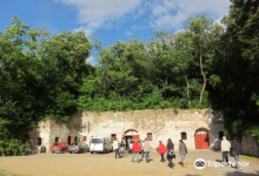 Thummerer Winery景点图片