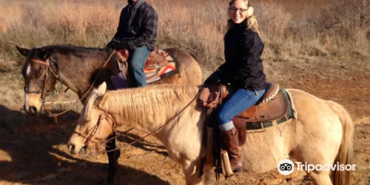 Widowmaker Trail Rides