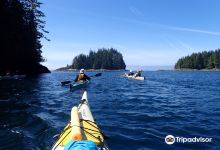 Broughton Archipelago Provincial Park景点图片
