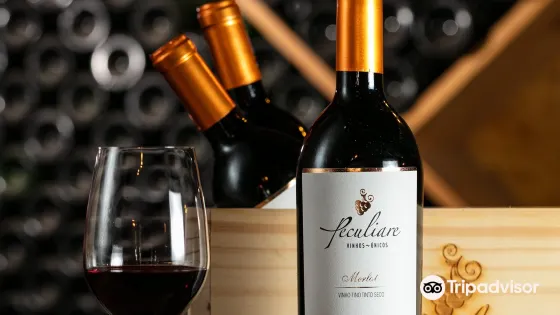 Peculiare Vinhos Unicos