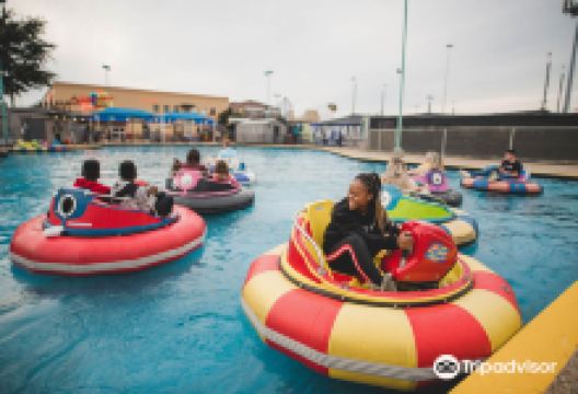 Celebration Station景点图片