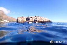 Cape Town Freediving购物图片