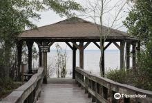 Lake Waccamaw State Park景点图片