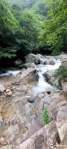 Jungwon Valley-杨平郡
