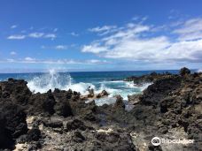 Lava Fields-茂宜县