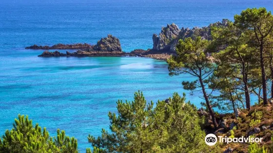 Ile vierge