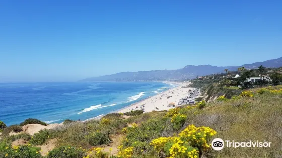 Point Dume州立沙灘自然保護區