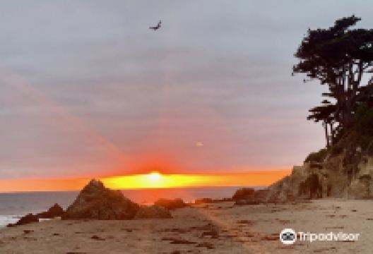 Lechuza Beach景点图片