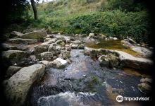 Ilsefälle景点图片