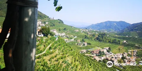 Bisol Vitivinicoltori