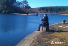 Lawfield Trout Fishery景点图片