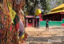 Buddhasubba Temple景点图片