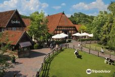 汉诺威动物园-汉诺威