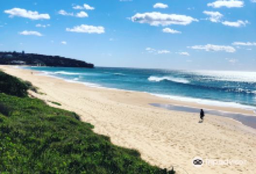 Curl Curl Beach景点图片