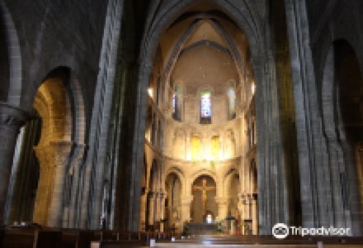 Basilique Notre-Dame d'Avesnières景点图片