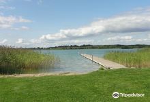 Råby Beach景点图片