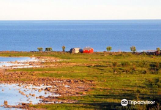 Perämeren Kansallispuisto景点图片