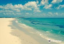 Plage el Mansoura景点图片