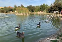 Parque Municipal Concejala Dolores Camino景点图片