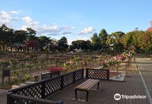 敷島公園ばら園景点图片