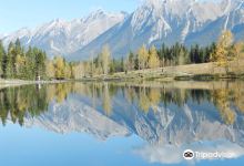 Quarry lake Park景点图片