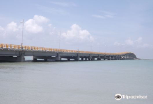 Puente el Zacatal景点图片