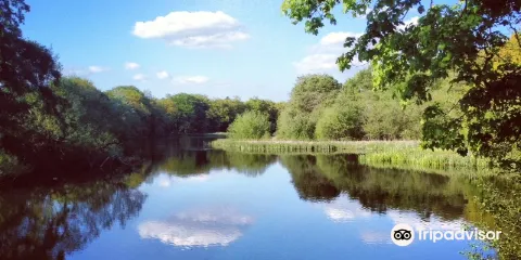 Rode Hall and Gardens