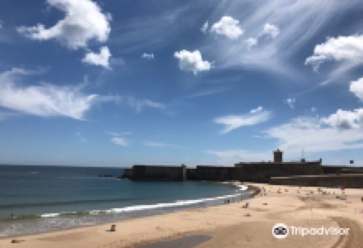 Fortaleza de Sao Juliao Da Barra景点图片