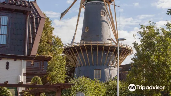 Molen de Windhond