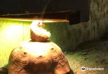 Blekinge Exotiska Varld景点图片