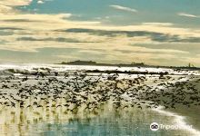 Stone Harbor Point景点图片