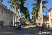 Rua das Palmeiras景点图片