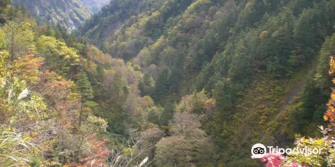 蛇谷自然観察園