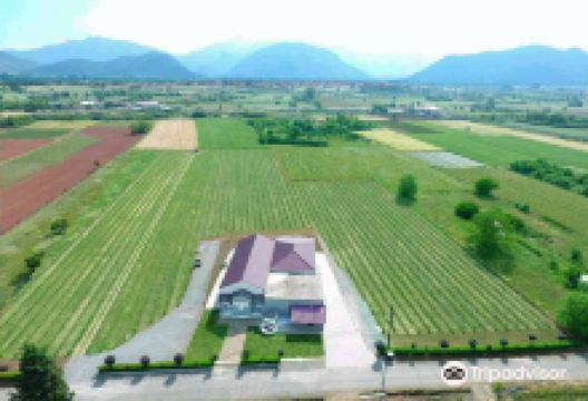 Troupis Winery景点图片
