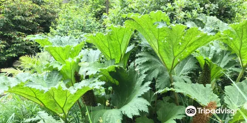 Fairy Glen Local Nature Reserve