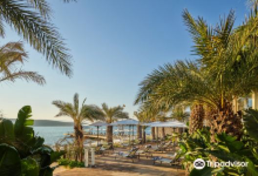 Biblos Beach Club景点图片