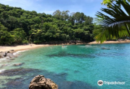 Saco das Bananas Beach景点图片