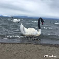 Playa Los Cisnes-兰奎休