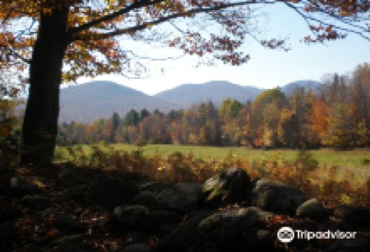 Wiessner Woods景点图片