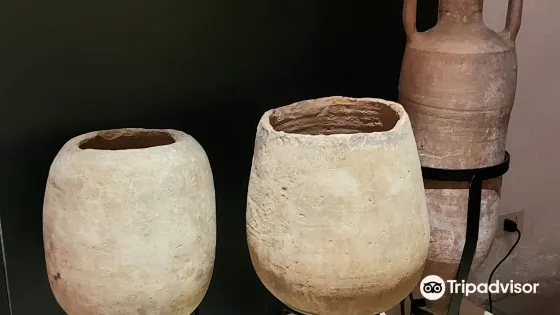 Museo Archeologico Nazionale della Lomellina