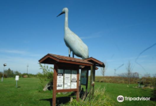 World's Largest Sandhill Crane景点图片