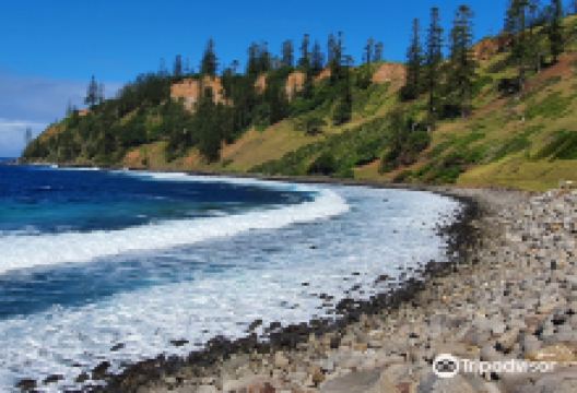 Ball Bay景点图片