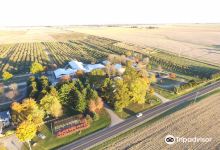 Curtis Orchard & Pumpkin Patch景点图片