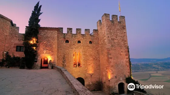 Castell De Montsonis