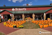 Eckert's Orchard购物图片