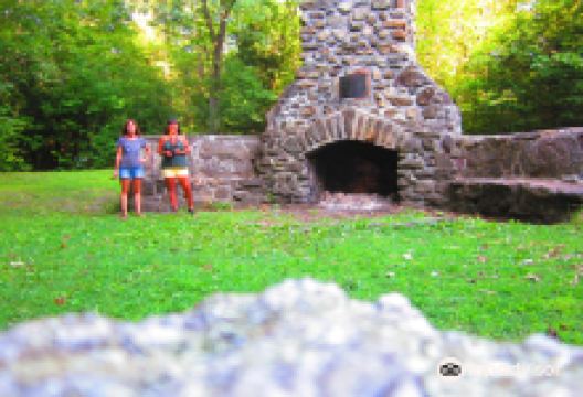 Thorncrag Bird Sanctuary景点图片