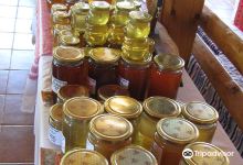 Opg Novkovic景点图片