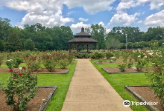 Thomasville Rose Garden景点图片
